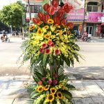Hoa khai trương KT31
