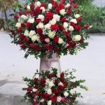 Hoa khai trương KT28