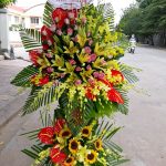 Hoa khai trương KT30