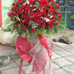 Hoa khai trương KT27