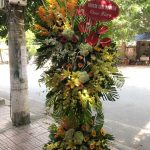 Hoa khai trương KT26