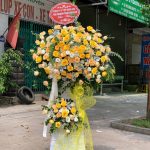 Hoa Khai Trương KT36