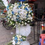 Hoa Khai Trương KT37
